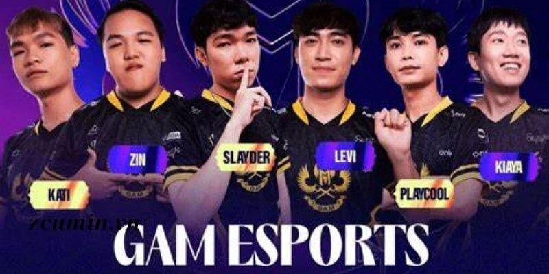Tin Nóng Về Đội Tuyển Esports